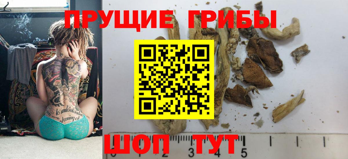 Галлюциногенные грибы Psilocybe  цена   Псилоцибиновые грибы MAGIC MUSHROOMS  Россия  Вход с VPN 