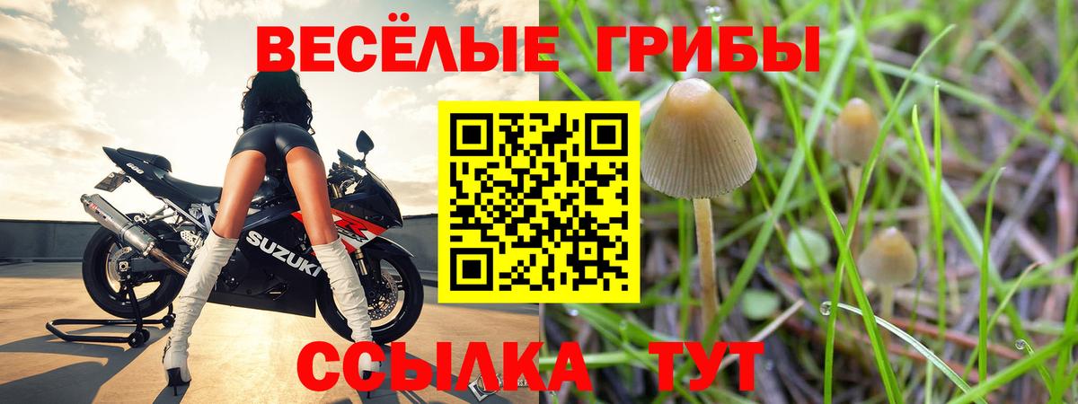 Псилоцибиновые грибы MAGIC MUSHROOMS Россия
